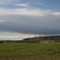 Field
