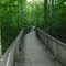 desoto state park walking bridge