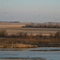 Sand Hill Cranes 2, Platte River, NE