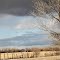 Big Sky and Fence