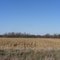 Spring Creek valley south of Denton