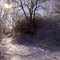 Snowy trail