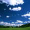 Springtime Blue Mountain