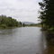 The Bitterroot at MacClay Flats