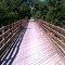 Homestead Trail - Bridge 10