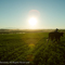 Idaho Dairy Farm