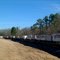 Ringling Bros. and Barnum & Bailey circus train