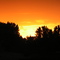 Vibrant Sunset