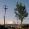 Boise near Sunset