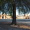 Dixie School