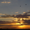 Spectacular Summer Sunset