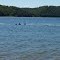 Swimming Area at Horseshoe Bend Campground