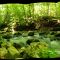 Blanchard Springs Caverns by D.L.H.