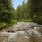 South Cottonwood Creek, 1 mile SW of trailhead