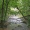 Blanchard Spring Creek