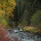 Hyalite Creek in the Fall