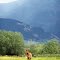 Chestnut Horse Bridger Mountains