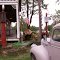 A great country store in the Ozarks