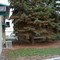 Old Apartment in Great Falls [Apt 9]