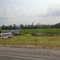 2011, Willis, AR, USA - along Rte 63