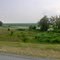 2011, Willis, AR, USA - along Rte 63