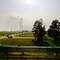 2011, Willis, AR, USA -  along Rte 63