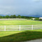 At Taylor Horse Park (pan)