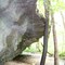 Tanyard Creek Trail
