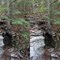 X3D Tree in the ravine