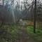 Tanyard Trail