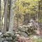 Stone walls mark the bounds around much of New England's land holdings.