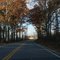 Nice Fall Folliage on Rte 126 S Center Barnstead NH