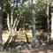 Grave yard