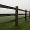 Fogged in fence at the Horse farm