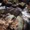 Stream
