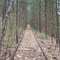 Townsend Railroad Tracks