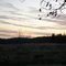 Sunset Over Pasture