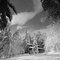 After Snowstorm