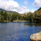 Lost Pond, Mt Washington Area, New Hampshire