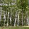 1999, New Hampshire, White Mountains