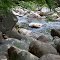 On the Miles Brook #2