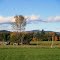 Mt. Pleasant Orchard