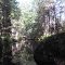 Twentymile Brook