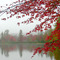Fall colors on Chocorua Lake, NH