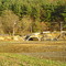 DSC00993