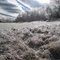 Icey field