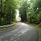 drive in the woods