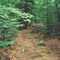 Mountain Trail