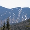 Wildcat Alpine Skiing