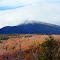 Mt Washington